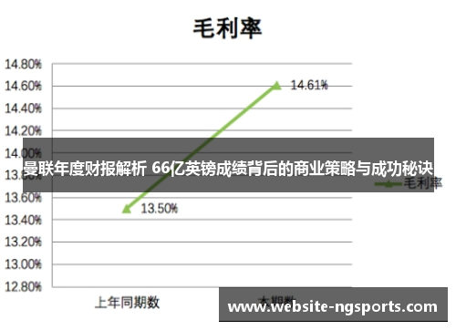 曼联年度财报解析 66亿英镑成绩背后的商业策略与成功秘诀