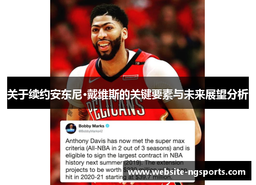 关于续约安东尼·戴维斯的关键要素与未来展望分析