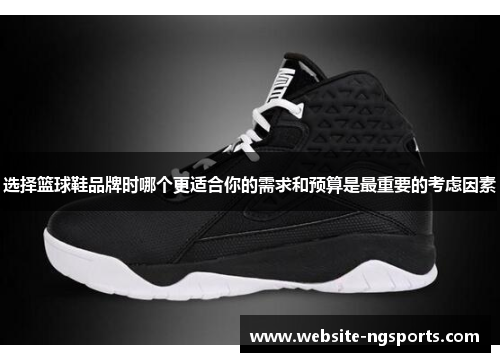 选择篮球鞋品牌时哪个更适合你的需求和预算是最重要的考虑因素