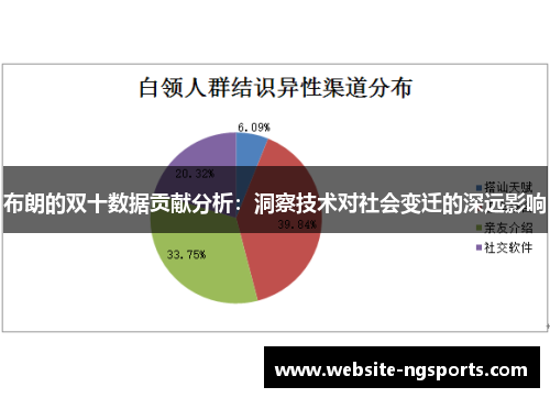 布朗的双十数据贡献分析：洞察技术对社会变迁的深远影响