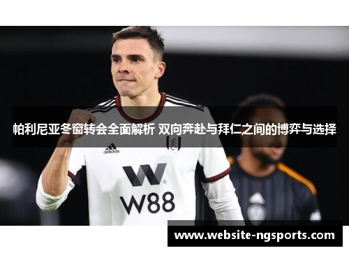 帕利尼亚冬窗转会全面解析 双向奔赴与拜仁之间的博弈与选择