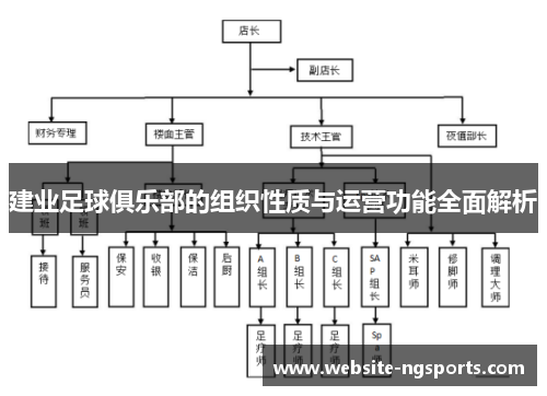 建业足球俱乐部的组织性质与运营功能全面解析