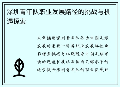 深圳青年队职业发展路径的挑战与机遇探索 深圳青年队职业发展路径的挑战与机遇探索